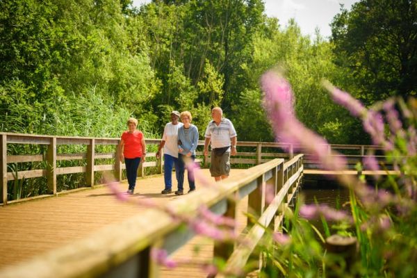 Four walkers on a wide wooden bridge enjoying a Wellbeing Walk